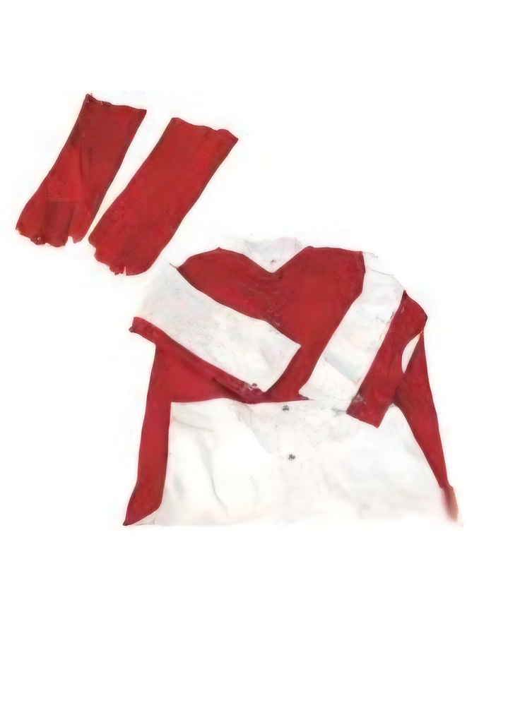 Remote Control System