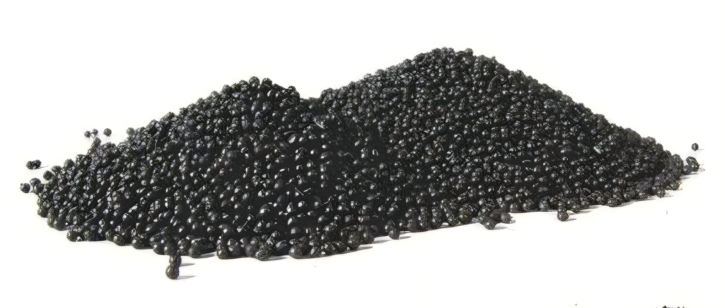 Internal Roto Blast Tool